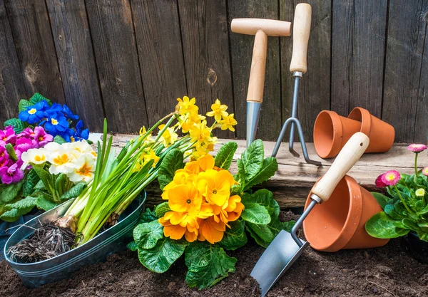 Gartenarbeit — Stockfoto