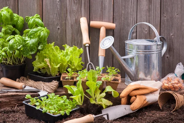 Gartenarbeit — Stockfoto