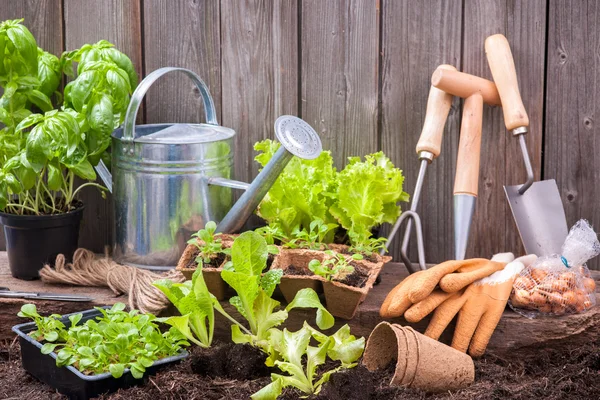 Giardinaggio — Foto Stock