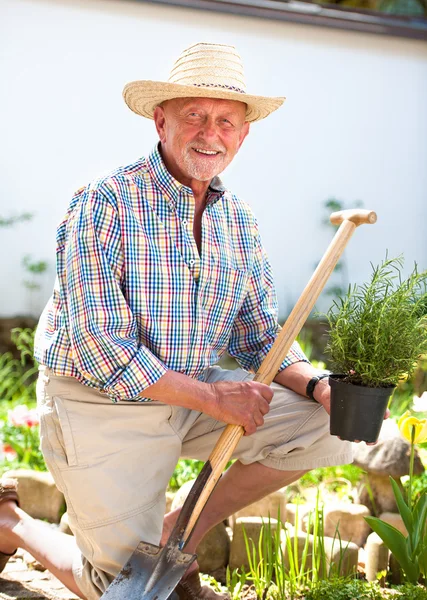 Senior gardener with a spade — Stock Photo, Image