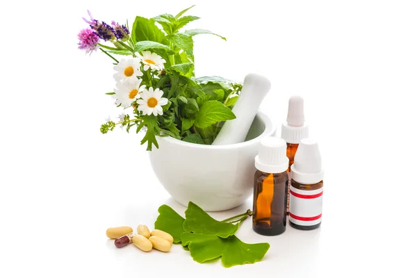 Healing herbs and amortar. — Stock Photo, Image