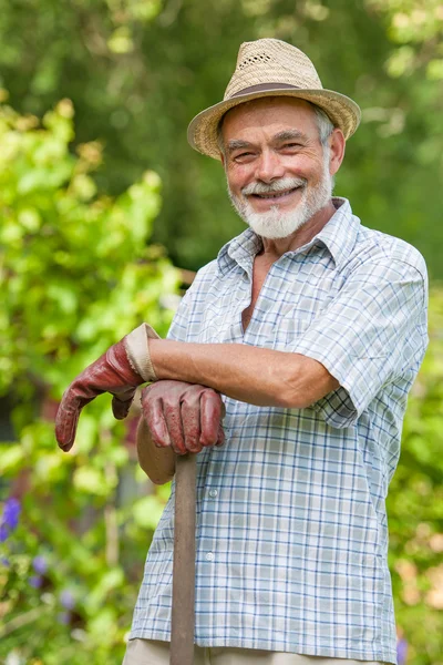 Ανώτερος κηπουρός με ένα φτυάρι — Φωτογραφία Αρχείου