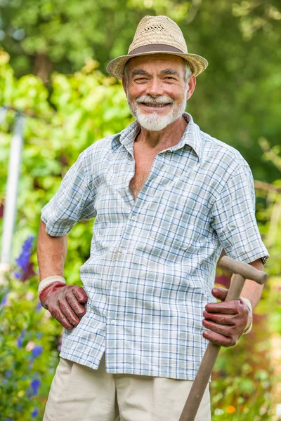 Giardiniere anziano con una vanga — Foto Stock