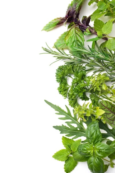 Fresh herbs — Stock Photo, Image