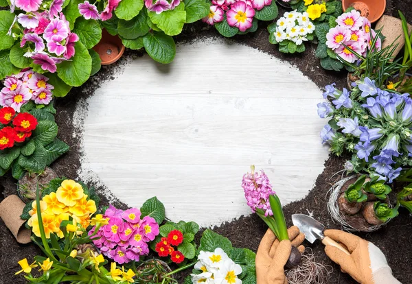 Gardening — Stock Photo, Image