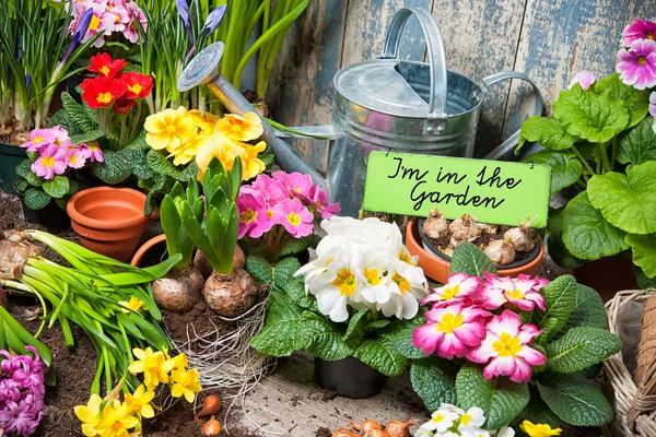 Ik ben in de tuin teken — Stockfoto