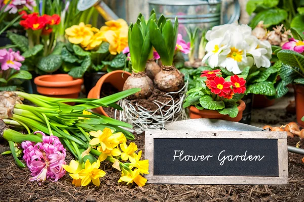 Flower garden sign — Stock Photo, Image