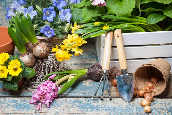 Giardinaggio — Foto Stock