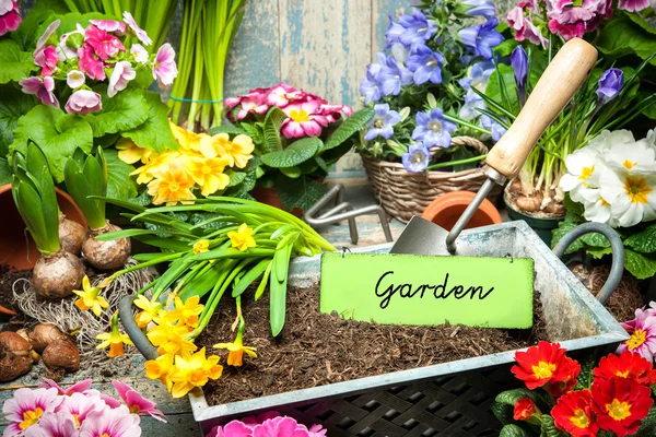 Gardening — Stock Photo, Image