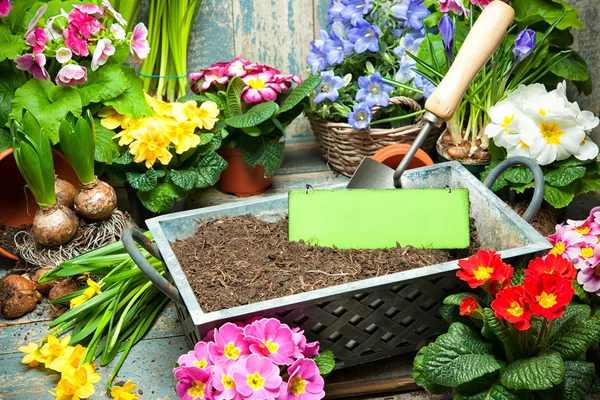 Gartenarbeit — Stockfoto