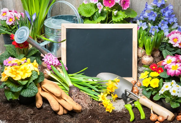 Gardening — Stock Image Gardening Stock Image