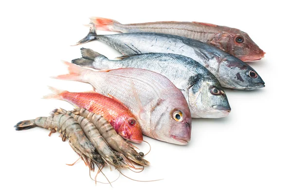 海の食べ物 — ストック写真