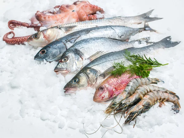 Seafood on ice — Stock Photo, Image