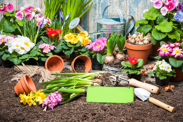 Садоводство