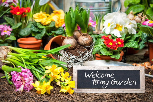 Welcome to my garden