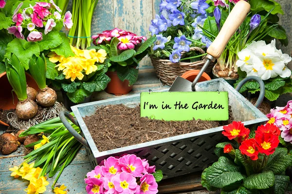 Jag är i trädgården tecken — Stockfoto