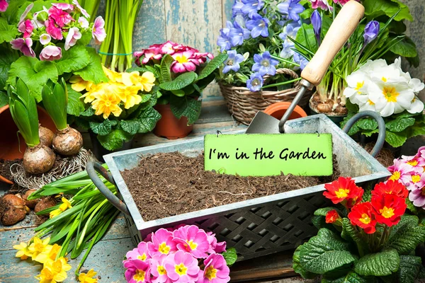 I am in the garden sign — Stock Image I am in the garden sign Stock Photo