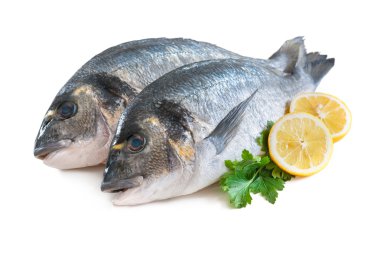 Gilthead sea breams fish clipart