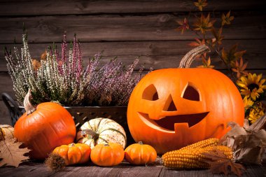 halloween pumpkins ile sonbahar natürmort