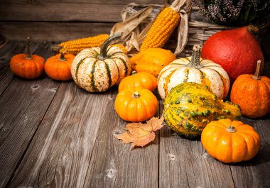 Sonbahar, bal kabakları ve yapraklarla dolu bir hayat.