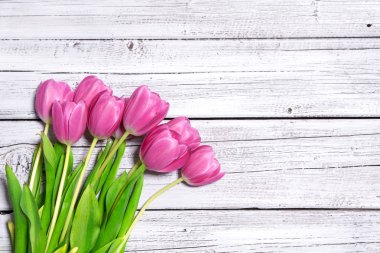 Bahar pembe laleleri.