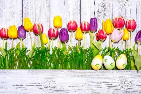 イースターエッグとカラフルな春チューリップ — ストック写真
