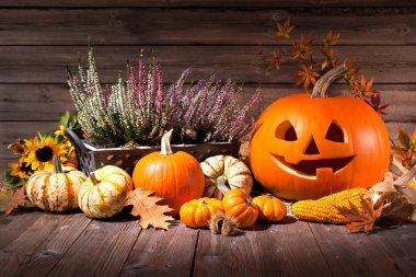 halloween pumpkins ile sonbahar natürmort