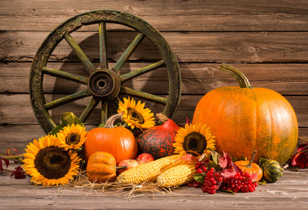 День благодарения