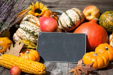 Şükran günü sonbahar natürmort