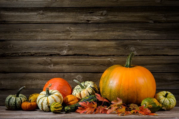 Thanksgiving — Stock Photo, Image