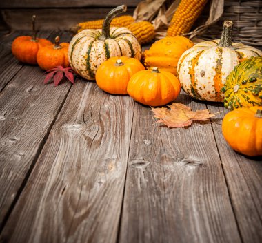 Autumn still life with pumpkins and leaves clipart