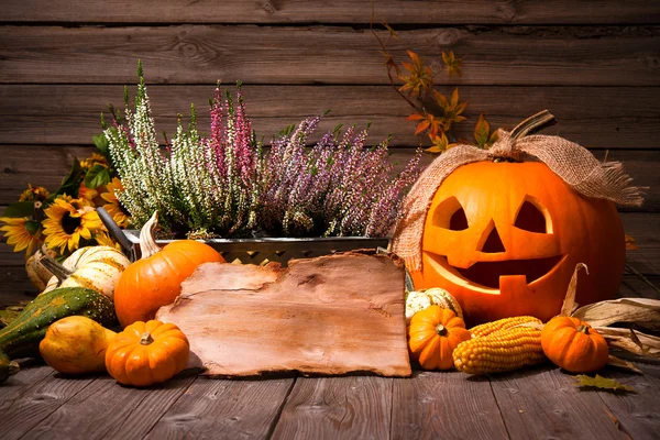 Gelukkige Halloween — Stockfoto