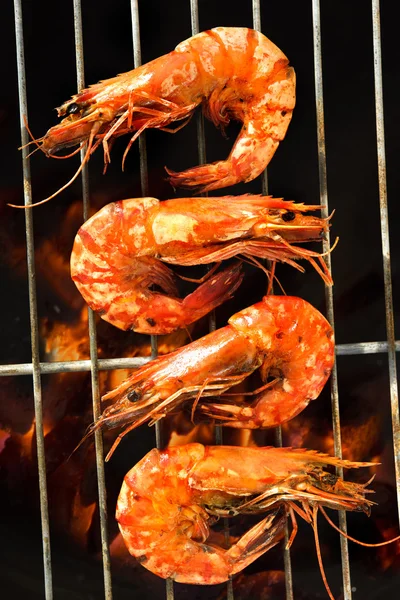 Grilled prawns — Stock Photo, Image