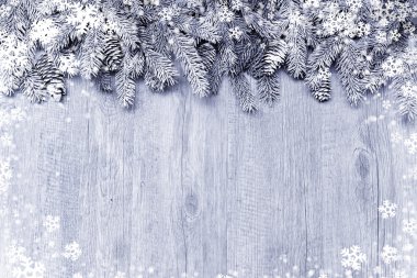 Snow-covered fir tree branch with decorations