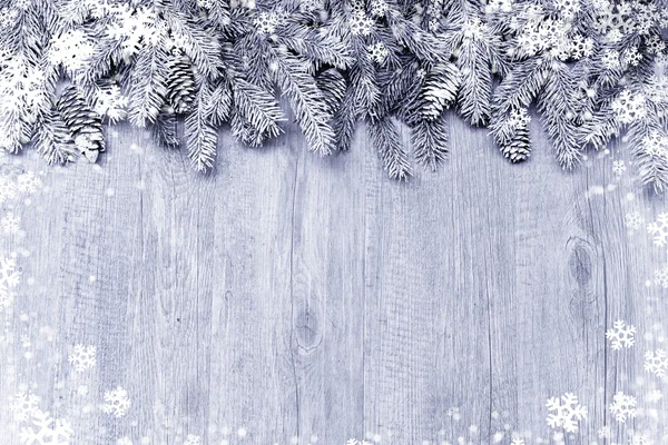Snow-covered fir tree branch with decorations — Stock fotografie