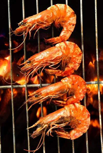 Grilled prawns — Stock Photo, Image