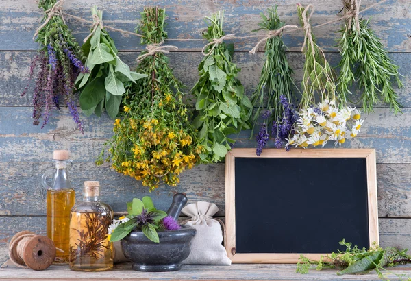 Message Board und verschiedene frische Kräuter — Stockfoto