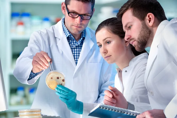 Científicos que trabajan en el laboratorio — Foto de Stock