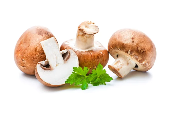 Νωπά μανιτάρια champignon — Φωτογραφία Αρχείου