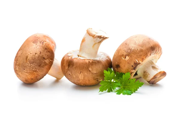 Fresh champignon mushrooms — Stock Image Fresh champignon mushrooms Stock Photo