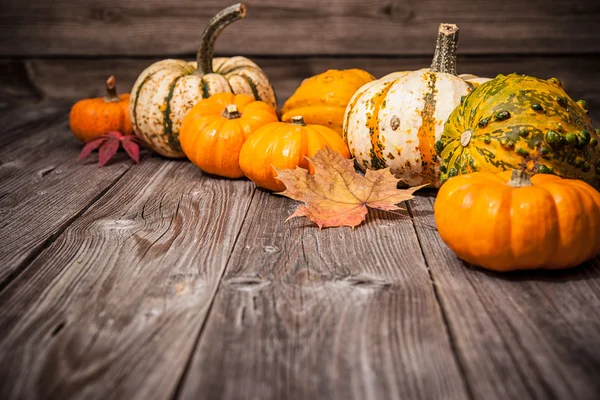 Осенний натюрморт с тыквами и листьями — стоковое фото