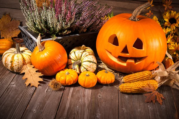 Halloween pumpkins ile sonbahar natürmort — Stok fotoğraf