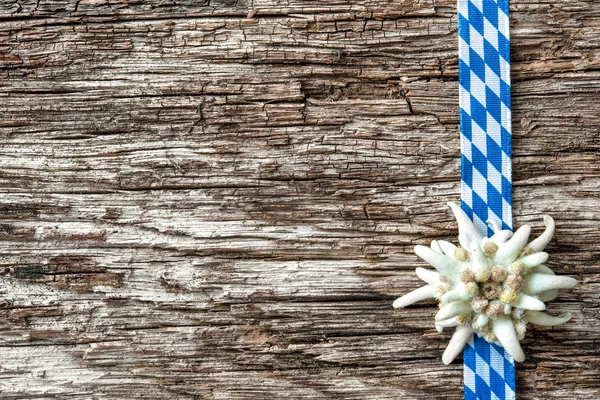Edelweiss met Beierse lint — Stockfoto