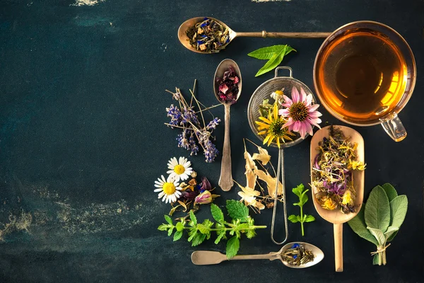 Herbal tea — Stock Photo, Image