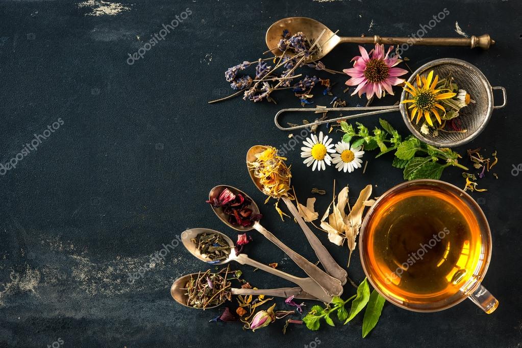 Herbal tea Stock Photo by ©alexraths 79510048