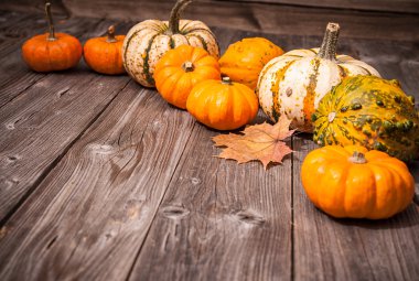 Sonbahar, bal kabakları ve yapraklarla dolu bir hayat.