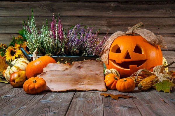 Gelukkige Halloween — Stockfoto