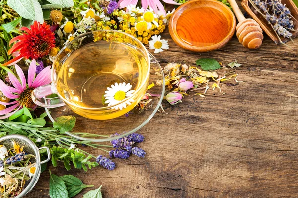 Té de hierbas con miel — Foto de Stock