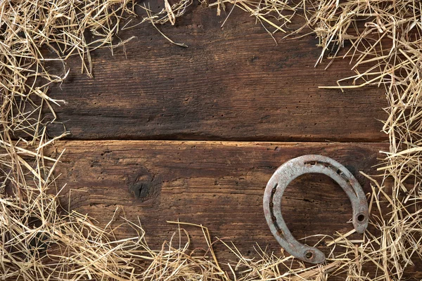 Altes rostiges Hufeisen — Stockfoto