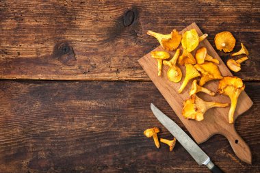 Cantharellus cibarius, Cantharellus cibarius mantar
